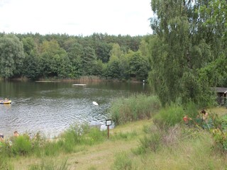 Vakantiehuis Faßberg Omgeving 32