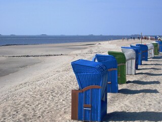 Apartment Wrixum Environment 13