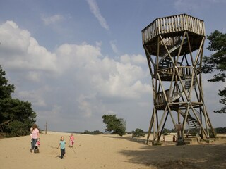 Vakantiepark Voorthuizen Omgeving 18