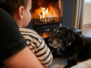 Parco vacanze Voorthuizen Caratteristiche 10