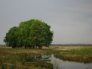 Vakantiepark Voorthuizen Omgeving 19