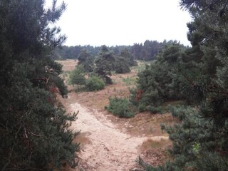 Vakantiepark Voorthuizen Omgeving 26