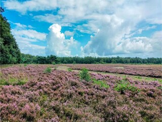 Vakantiepark Borger Omgeving 12