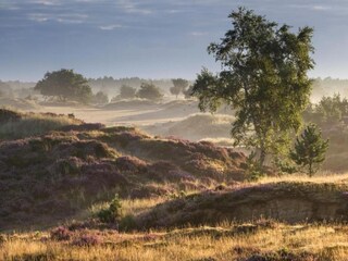 Vakantiepark Borger Omgeving 8
