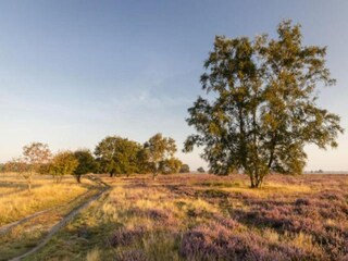 Vakantiepark Borger Omgeving 20
