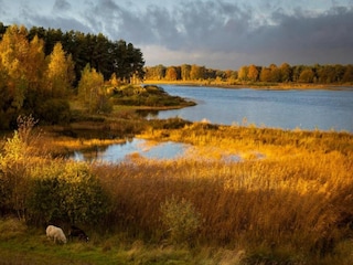Ferienpark Borger Umgebung 20