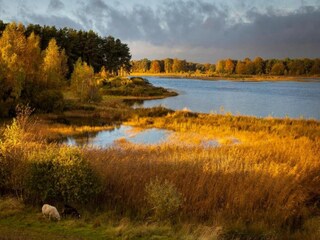 Vakantiepark Borger Omgeving 11