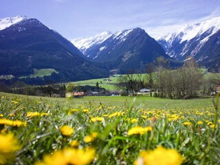 Apartamento Neukirchen am Großvenediger Grabación al aire libre 7