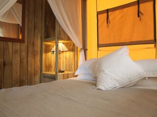 Parco vacanze Voorthuizen Caratteristiche 5