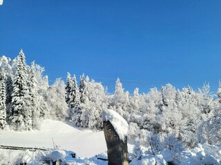 Apartamento Neukirchen am Großvenediger Entorno 22