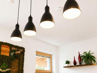 Appartement Aschau im Zillertal  55