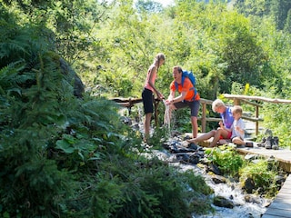 Appartement Mühlbach im Pinzgau Environnement 41