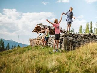 Appartement Mühlbach im Pinzgau Environnement 44