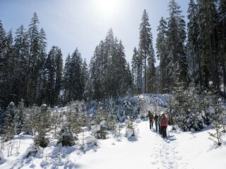 Appartement Mühlbach im Pinzgau Environnement 11