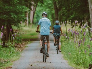 Vakantiepark Voorthuizen  36