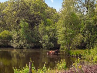 Vakantiepark Stramproy Omgeving 9