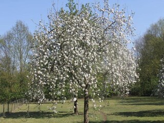 Parco vacanze Stramproy  34