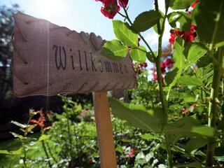 Apartamento Mühlbach im Pinzgau Grabación al aire libre 2