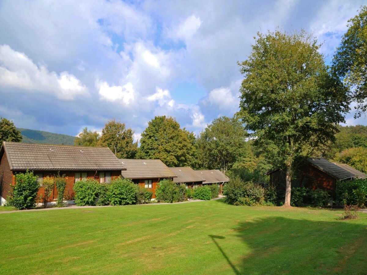 Ferienpark La Roche-en-Ardenne Außenaufnahme 1