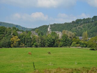 Vakantiepark La Roche-en-Ardenne Omgeving 28