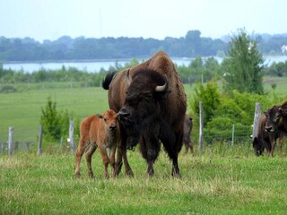 Vakantiehuis Markkleeberg Omgeving 17