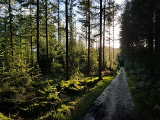Vakantiepark Voorthuizen Omgeving 14