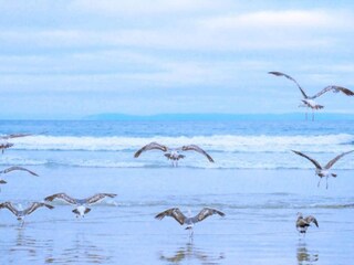 Parc de vacances Callantsoog Environnement 17