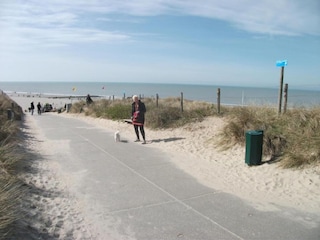 Parc de vacances Callantsoog Environnement 31