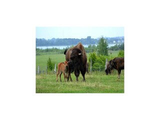 Vakantiehuis Markkleeberg Buitenaudio-opname 7