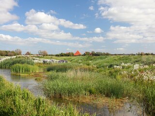 Vakantiepark Callantsoog Omgeving 13