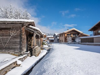 Ferienpark Wald im Pinzgau Außenaufnahme 8