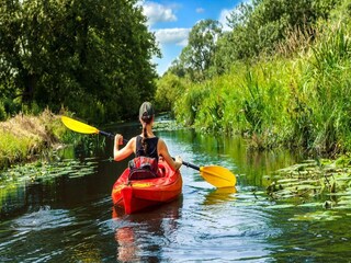 Vakantiehuis Babke Omgeving 18