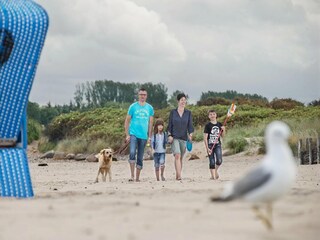 Vakantiepark Damp Kenmerken 18