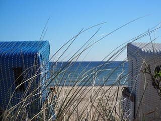Vakantiepark Damp Omgeving 33