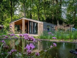 Ferienpark Komfortables Chalet in der Nähe der IJssel - Olburgen - image1