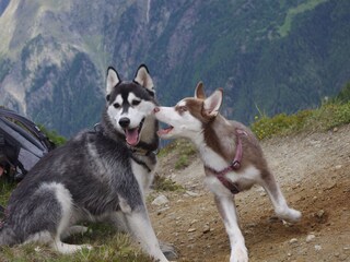 Appartamento per vacanze Längenfeld Ambiente 19