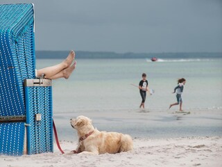 Vakantiepark Damp Omgeving 26