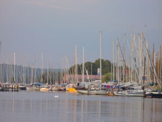 Seglerhafen Seedorf, ganz in Ihrer Nähe