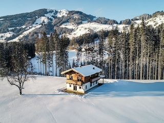 Chalet Hollersbach im Pinzgau Außenaufnahme 11