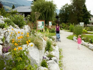 Chalet Hollersbach im Pinzgau Environnement 36