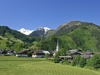 Chalet Hollersbach im Pinzgau Environnement 32