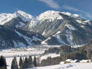 Chalet Hollersbach im Pinzgau Environnement 46