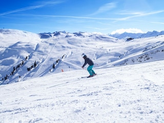 Chalet Hollersbach im Pinzgau Umgebung 44