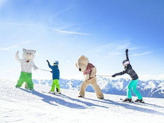 Chalet Hollersbach im Pinzgau Umgebung 54