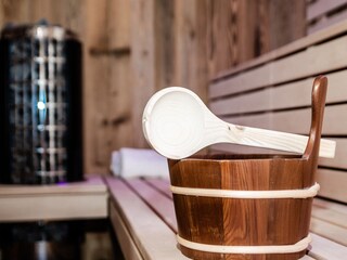 Chalet Hollersbach im Pinzgau  59