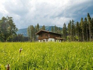 Chalet Hollersbach im Pinzgau Außenaufnahme 1