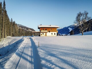 Chalet Hollersbach im Pinzgau Buitenaudio-opname 9