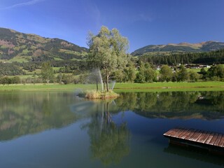 Chalet Hollersbach im Pinzgau Ambiente 52