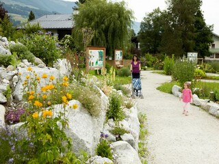 Chalet Hollersbach im Pinzgau Environnement 52