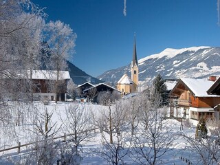 Chalet Hollersbach im Pinzgau Environnement 47